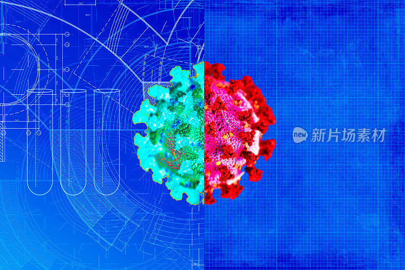 Omicron Variant Covid-19突变概念比较。